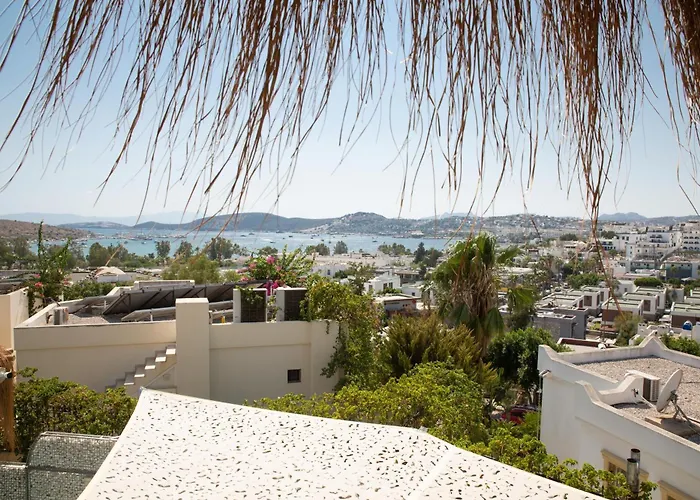 3bedroom With Pool And Sea Wiew In Bd447 Villa