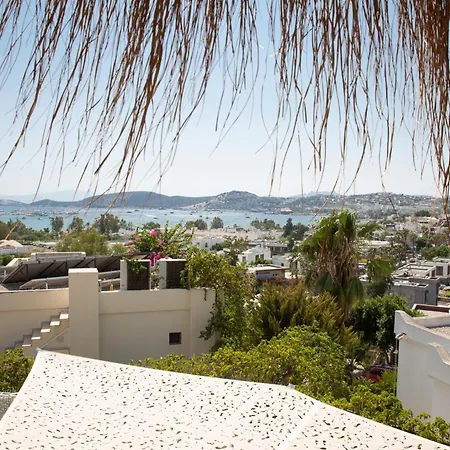 3bedroom With Pool And Sea Wiew In Bd447 Villa